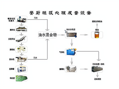 环保创业新潮流:餐余垃圾养蟑螂,你敢尝试吗?